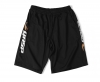 GASP US Mesh training shorts, black