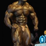 Roelly Winklaar